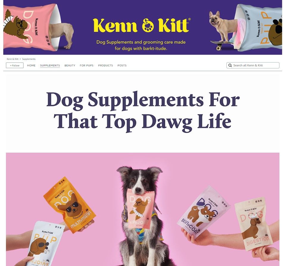 KENN AND KITT STORE PET 4: Storefront