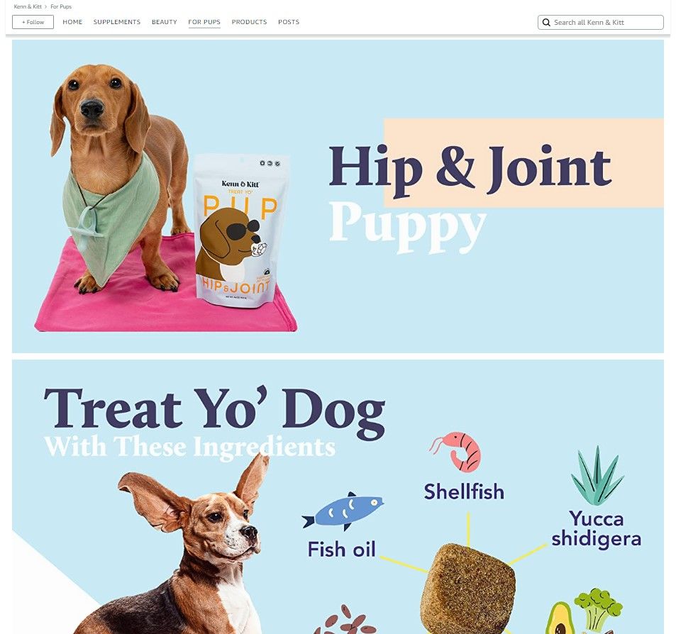 KENN AND KITT STORE PET 6: Storefront
