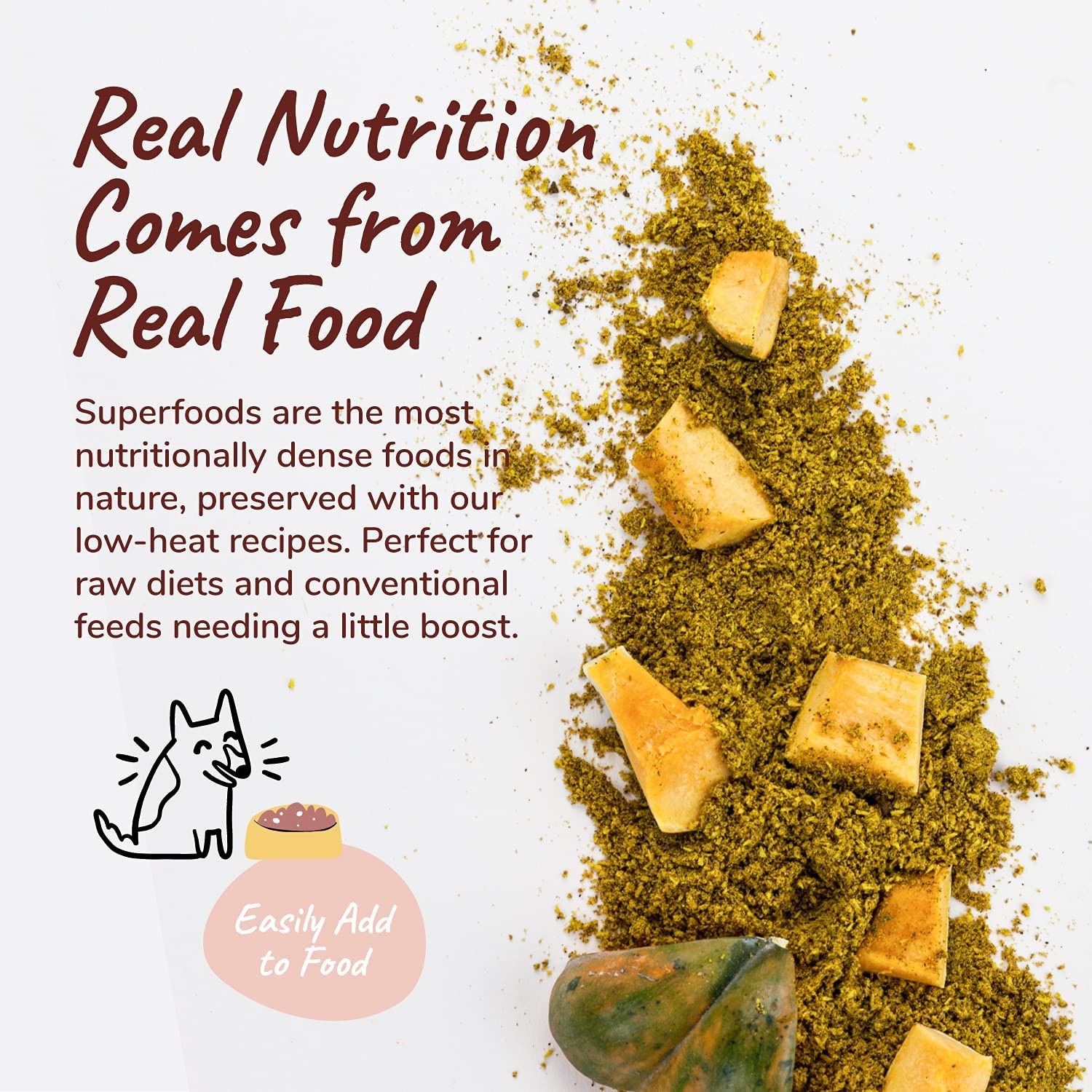 KIN+KIND INF PET 11: Infographics