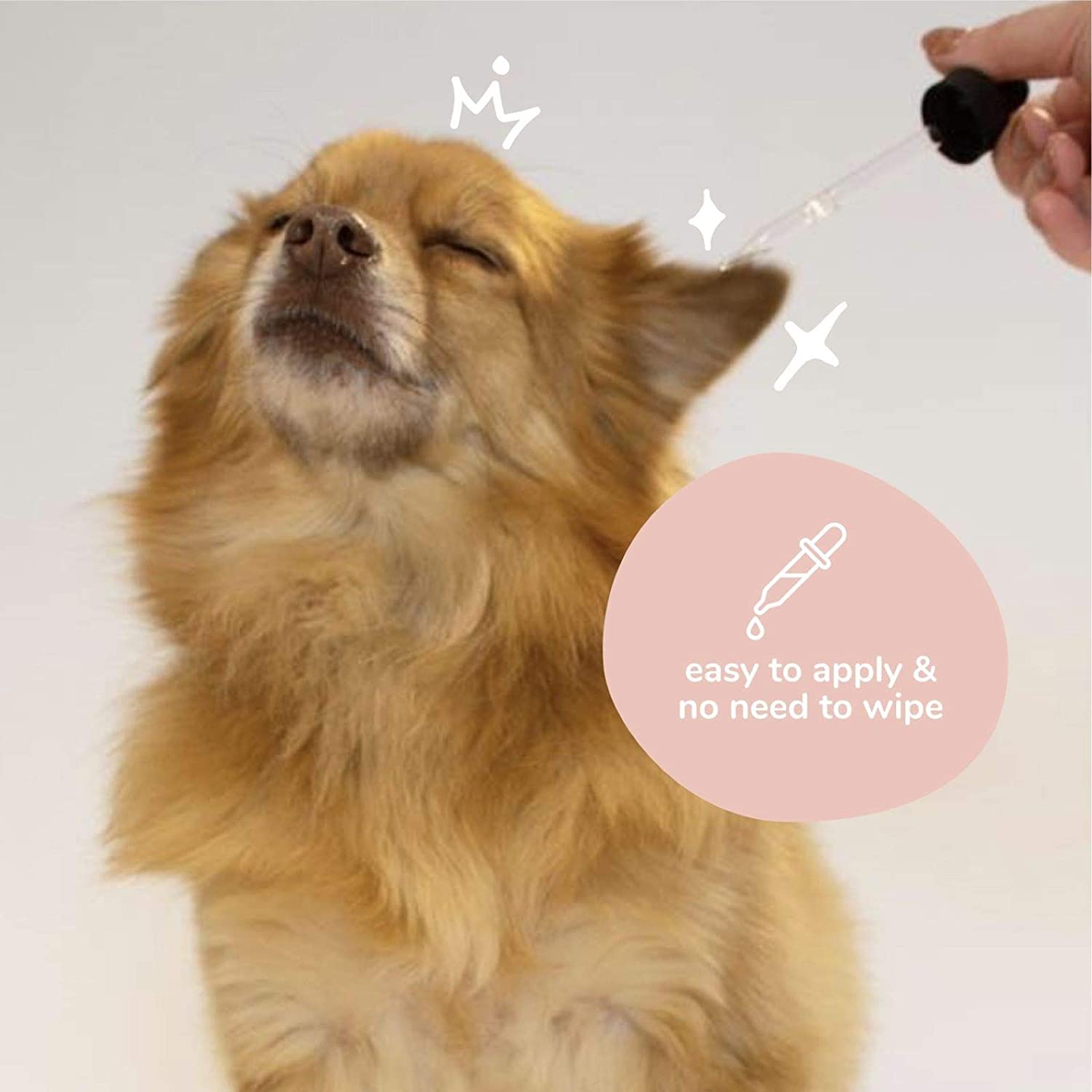 KIN+KIND INF PET 9: Infographics