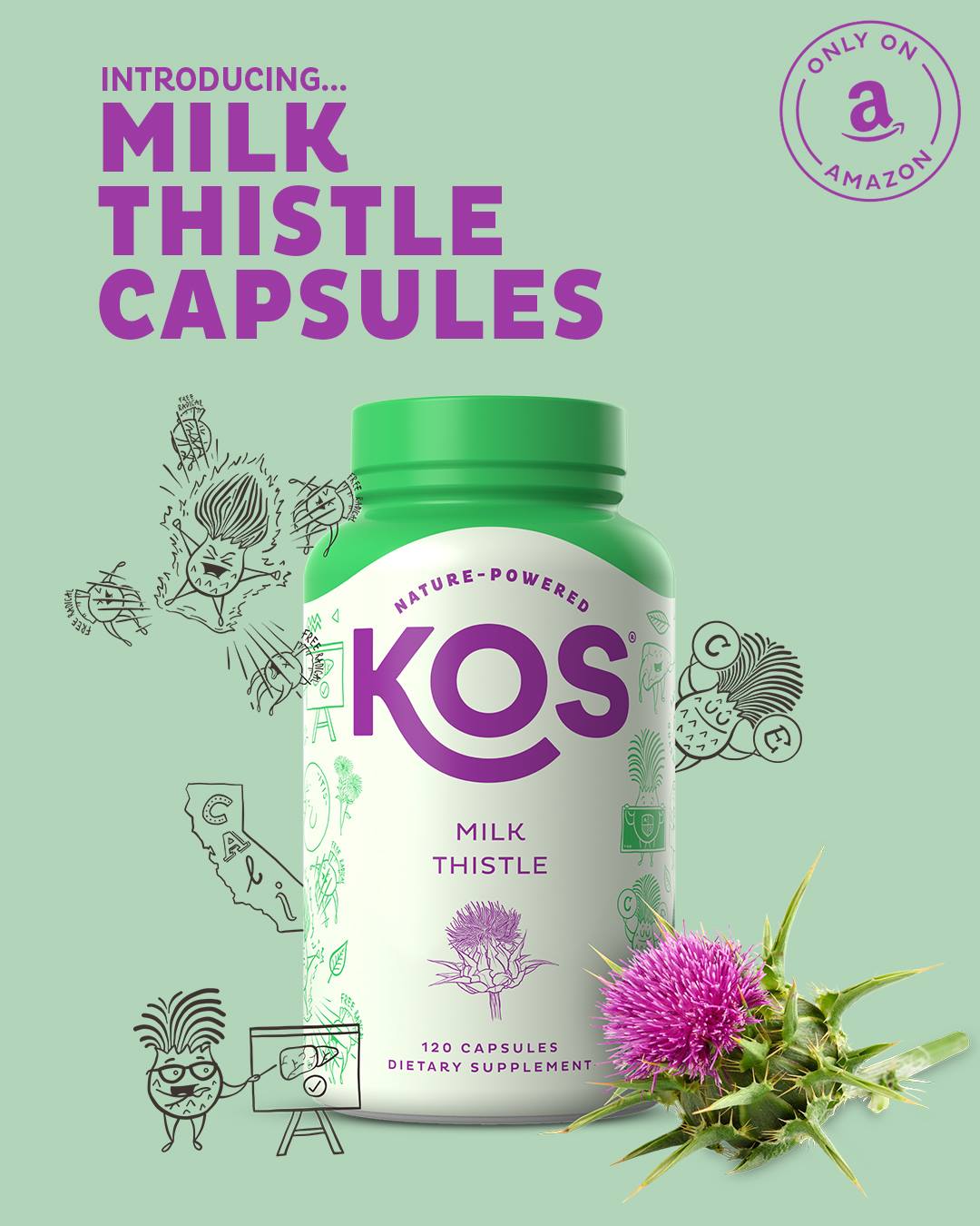 KOS 02: Infographics
