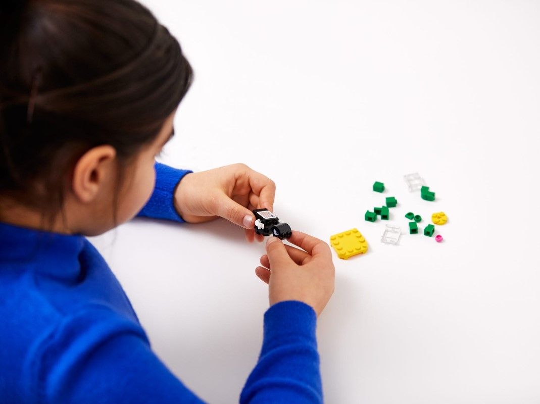 LEGO LIF TG 9: Lifestyle Secondary Images