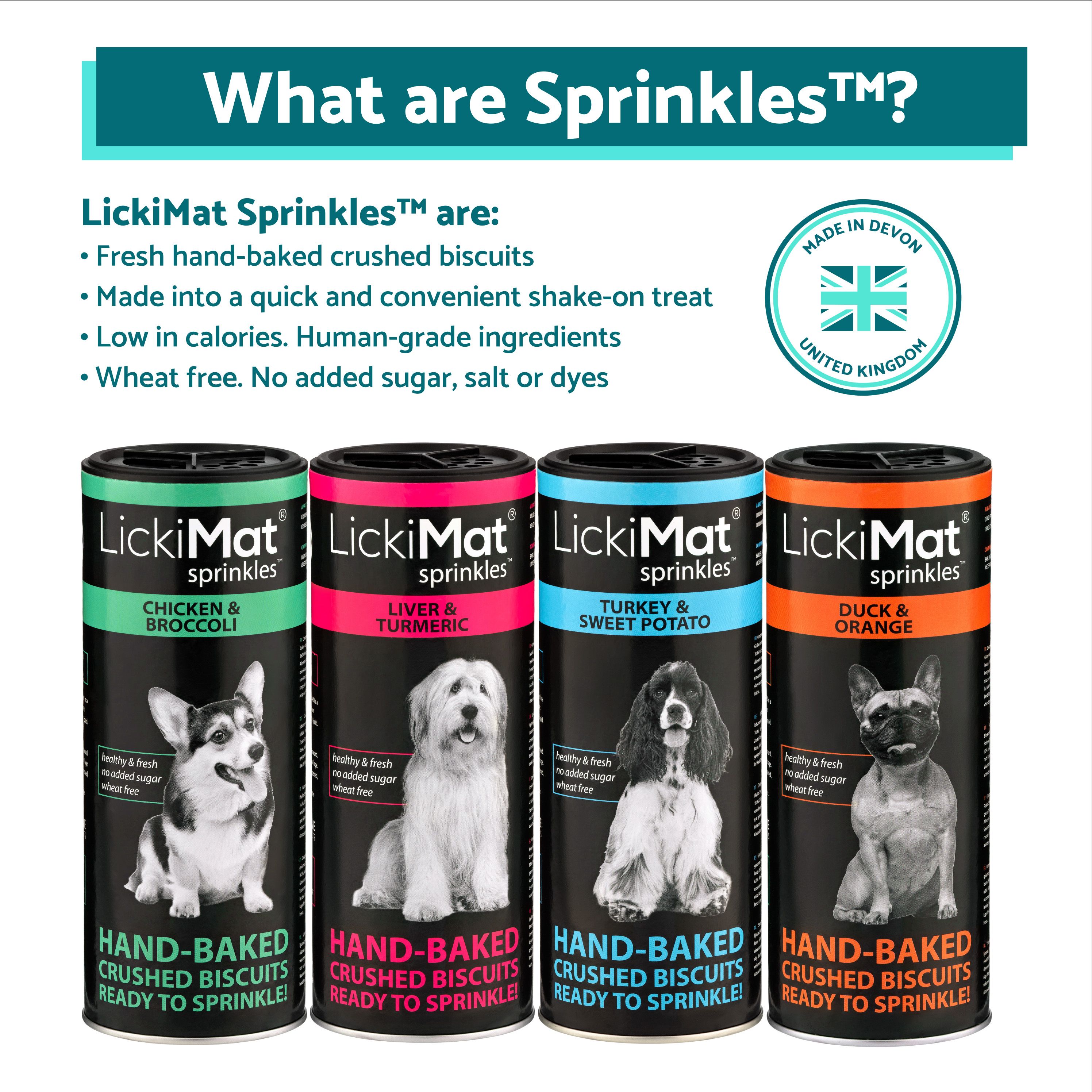 4. Sprinkle Explainer: Infographics