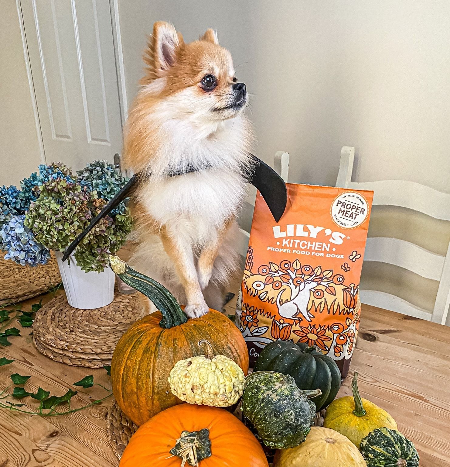 Lily's Kitchen 28: Lifestyle Secondary Images