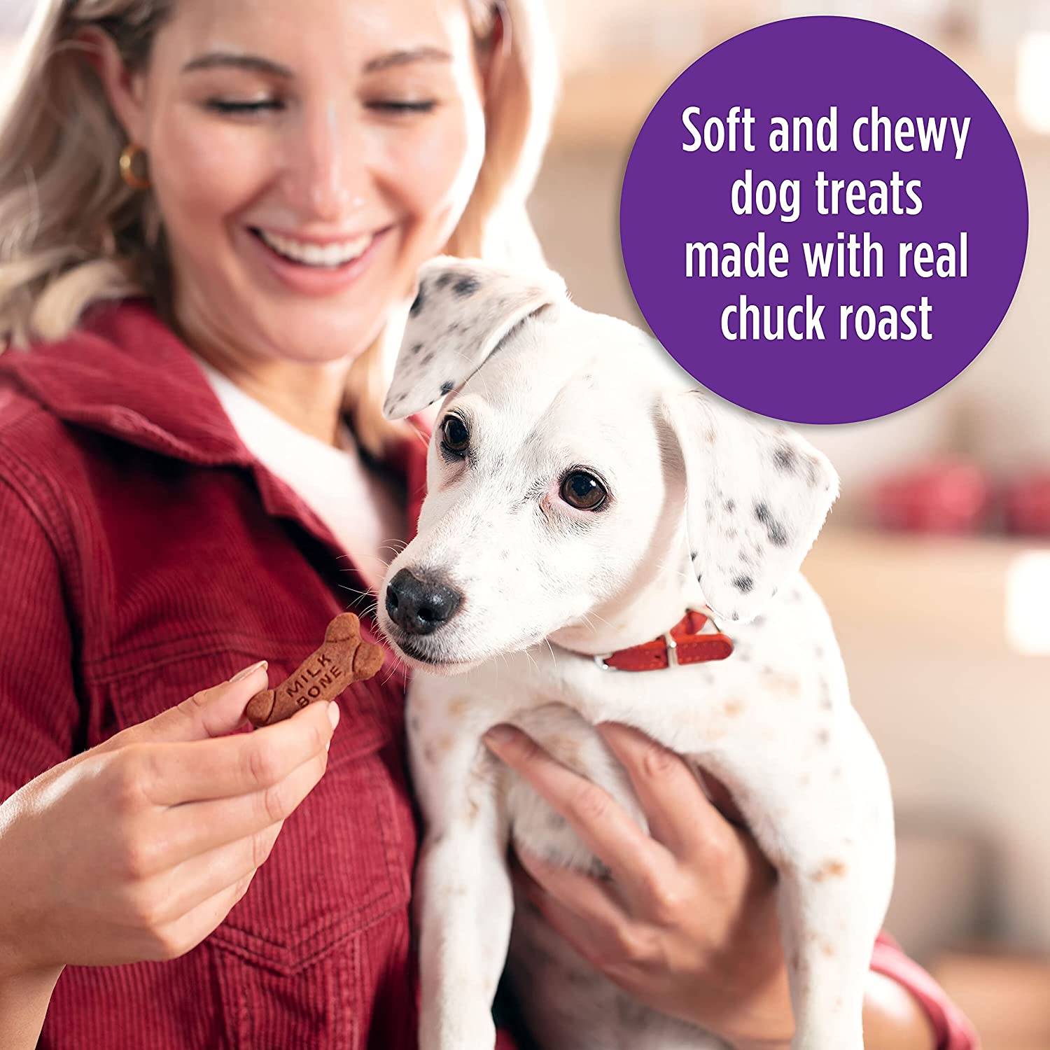 MILK-BONE INF PET 1: Infographics
