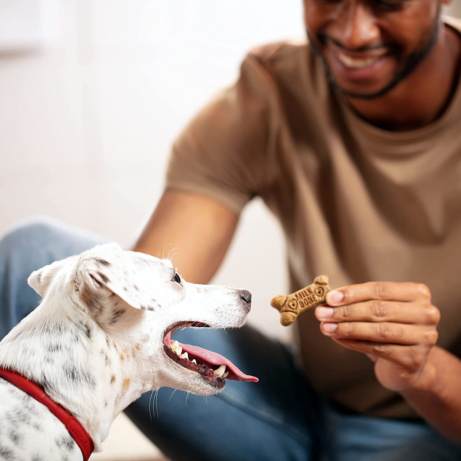 MILK-BONE LIF PET 1: Lifestyle Secondary Images