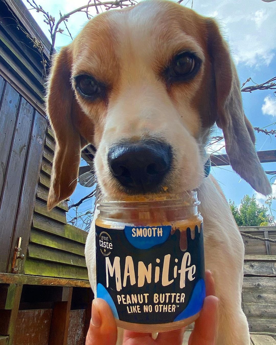 Manilife 18: Lifestyle Secondary Images