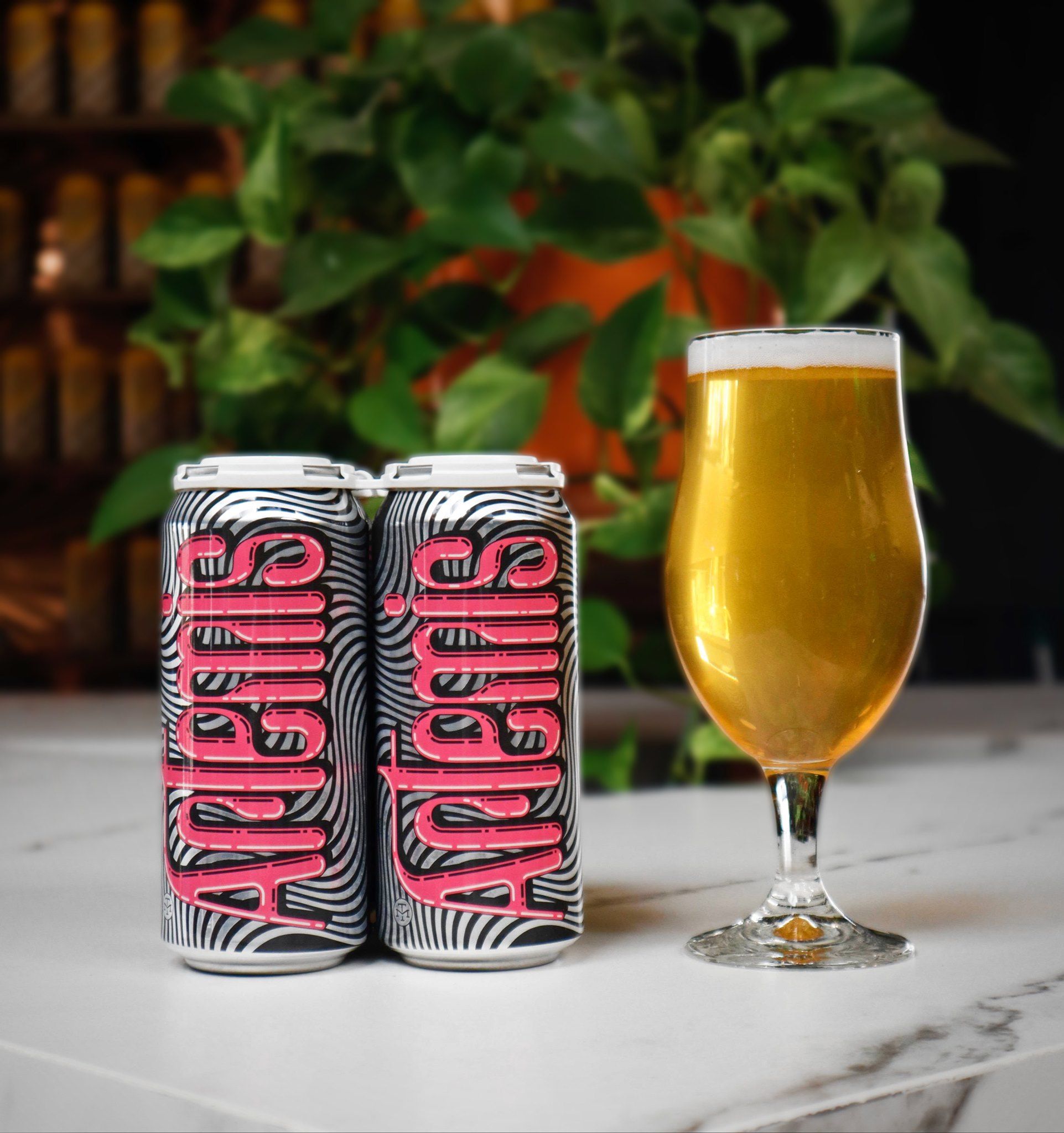 Modern Times Beer 19: Lifestyle Secondary Images