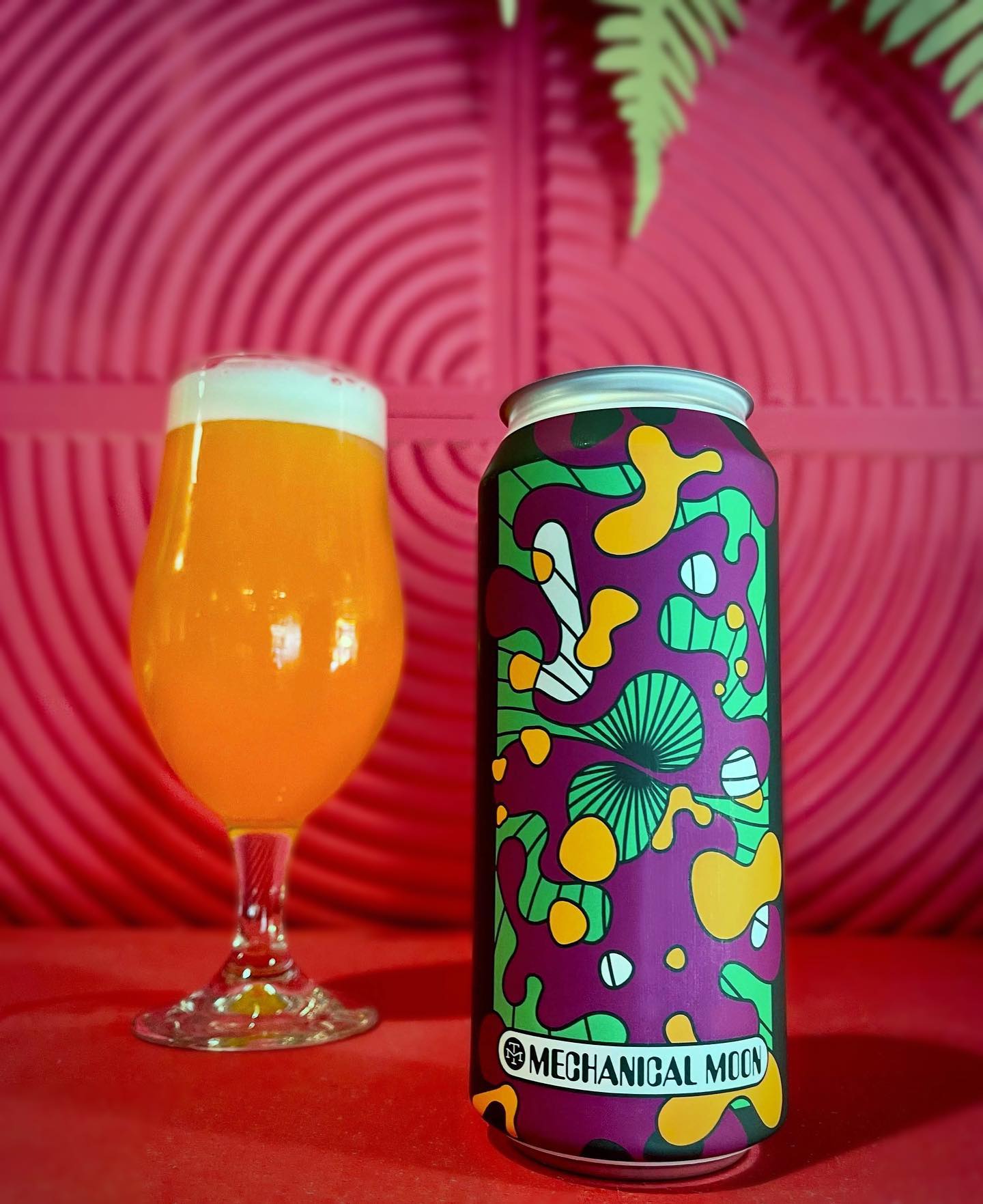 Modern Times Beer 37: Lifestyle Secondary Images