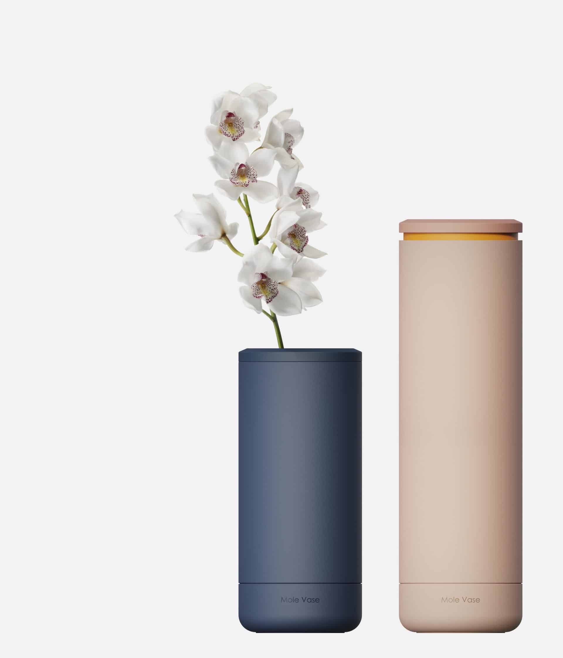 Mole Vase 1: Product Hero Images