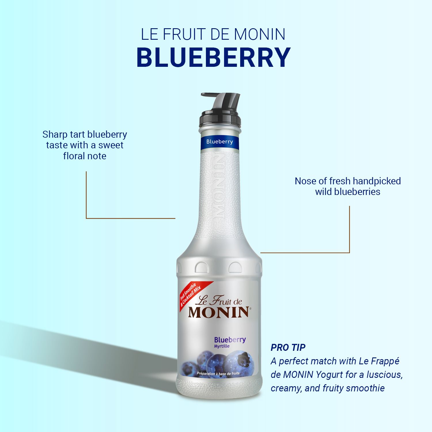 Monin 2: Infographics