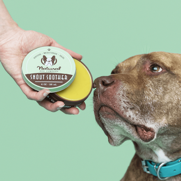 Backdrops for NATURAL DOG COMPANY CB PET 2