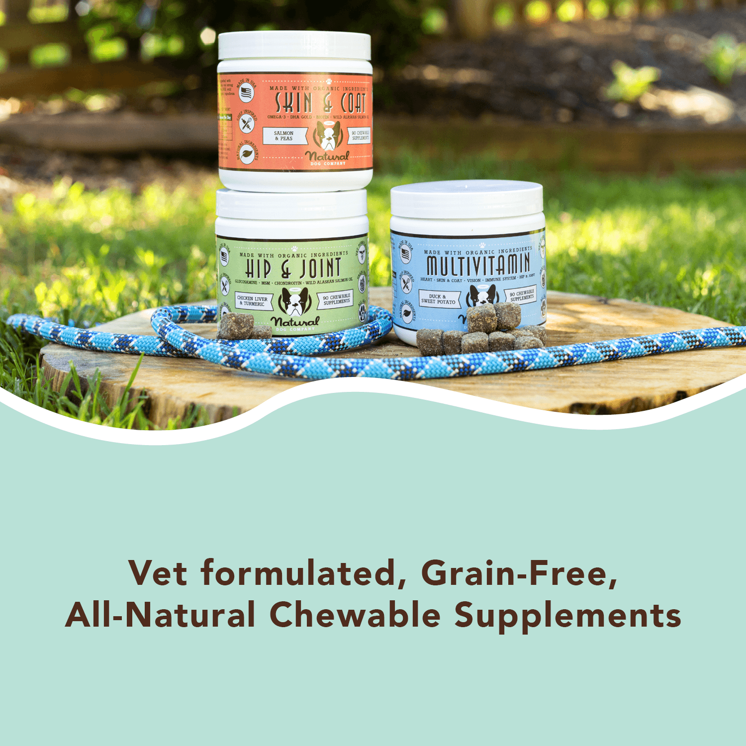 NATURAL DOG COMPANY INF PET 10: Infographics