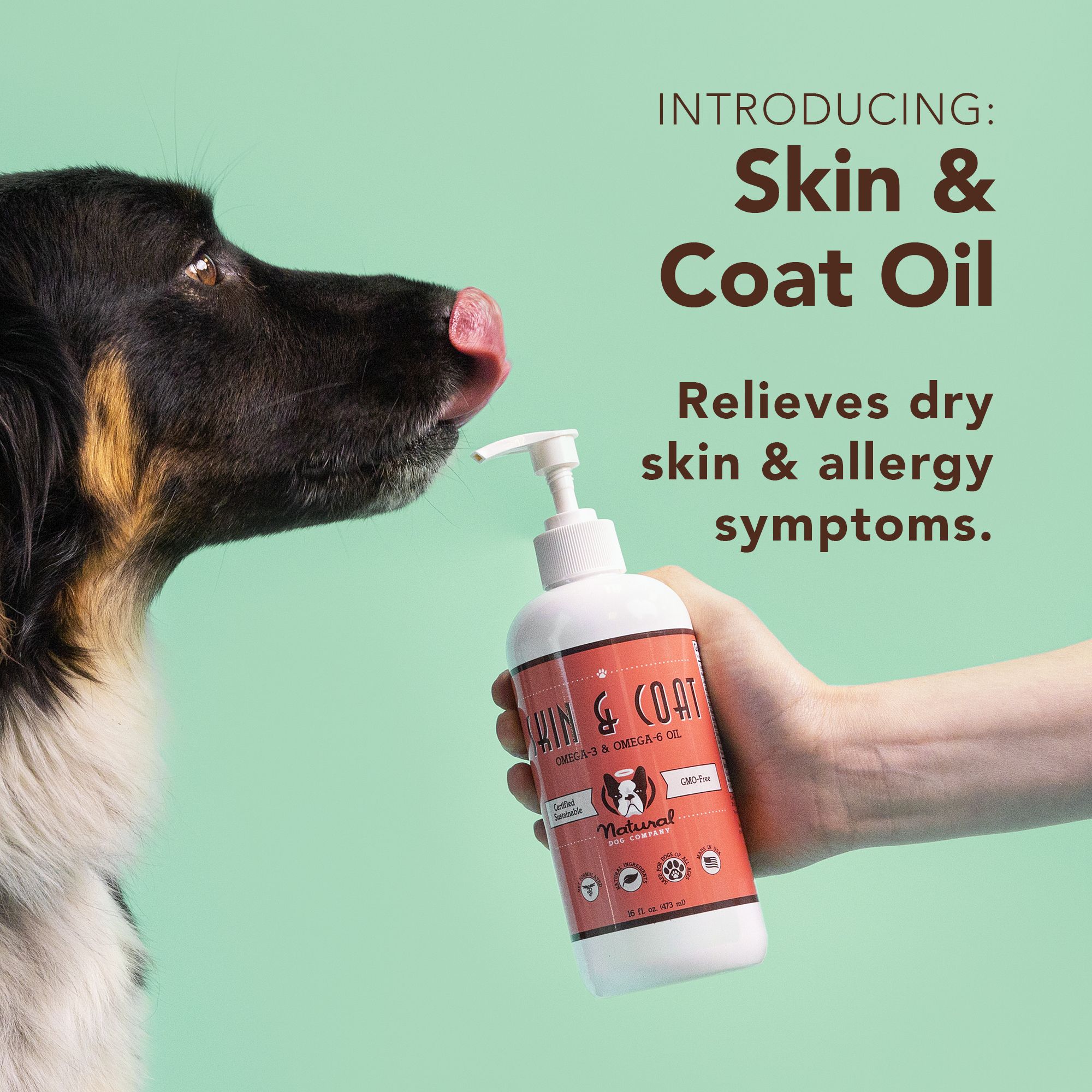 NATURAL DOG COMPANY INF PET 11: Infographics