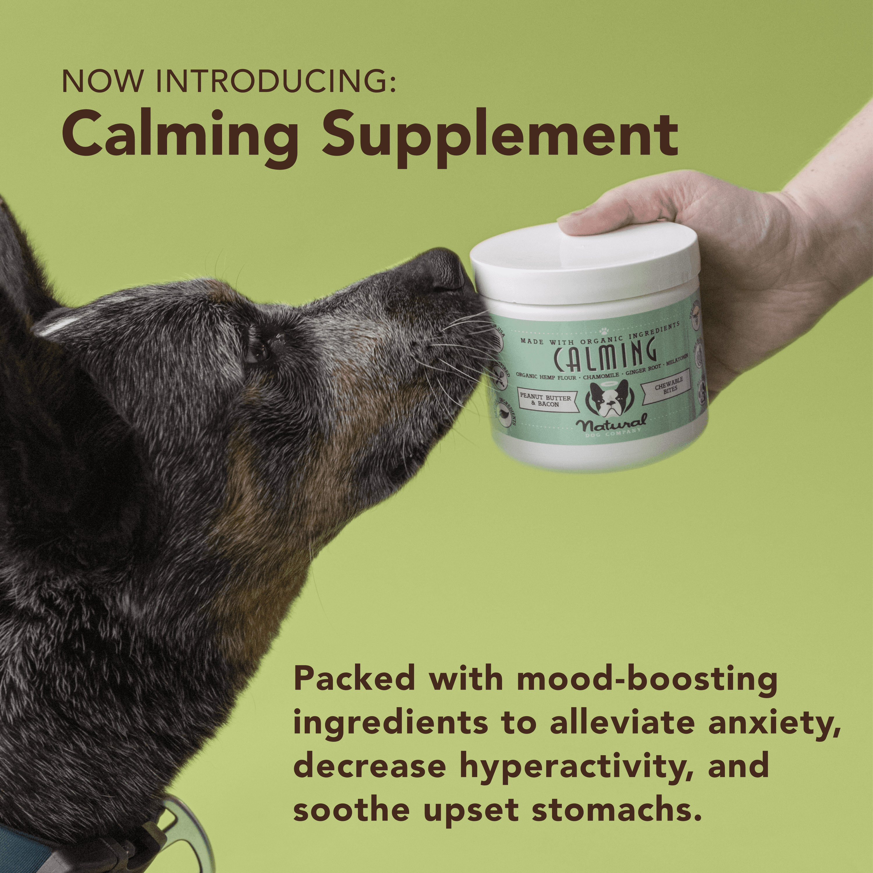 NATURAL DOG COMPANY INF PET 12: Infographics