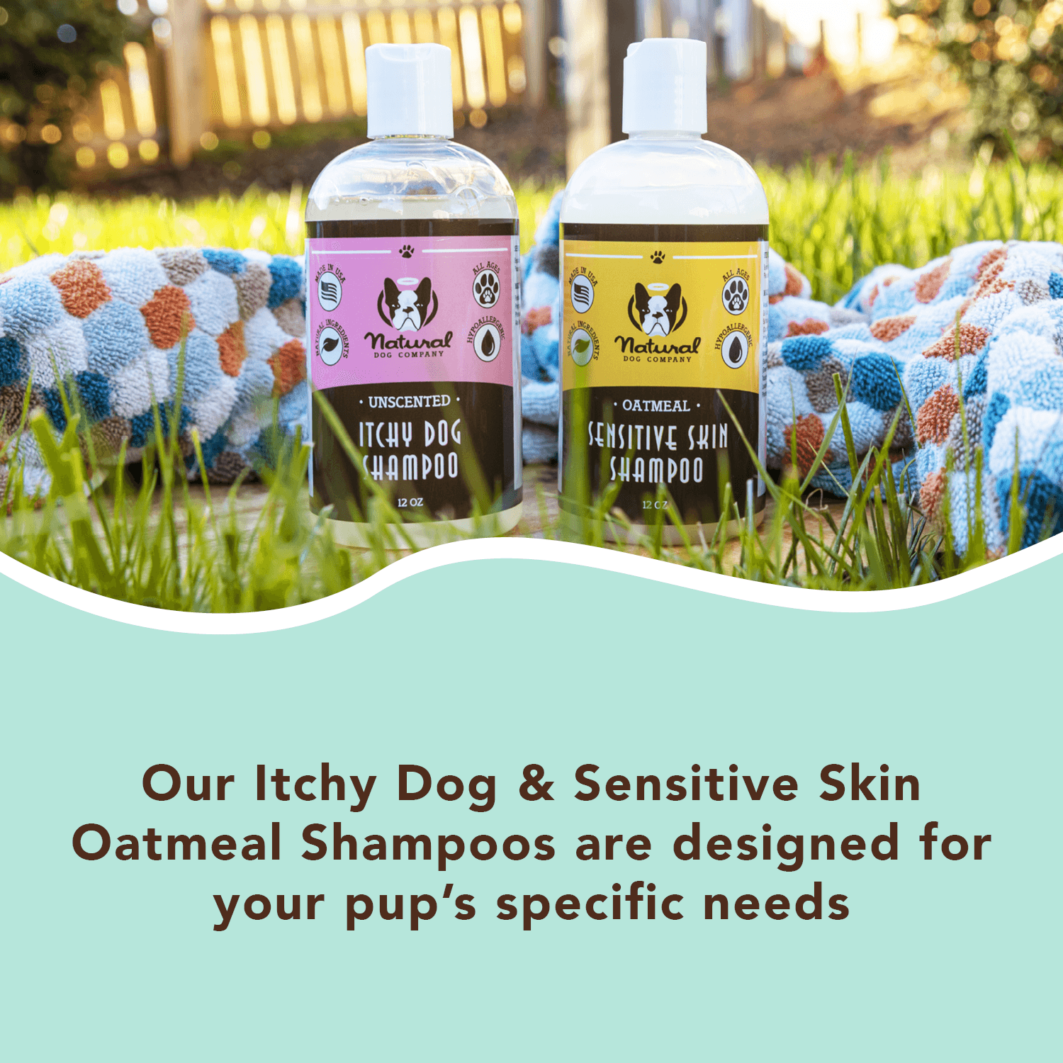 NATURAL DOG COMPANY INF PET 13: Infographics