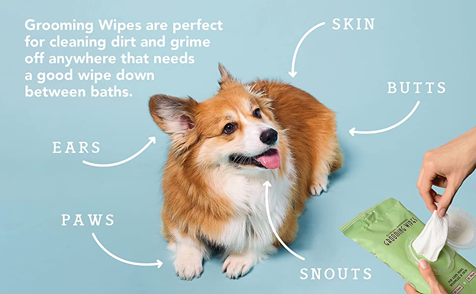 NATURAL DOG COMPANY INF PET 1: Infographics