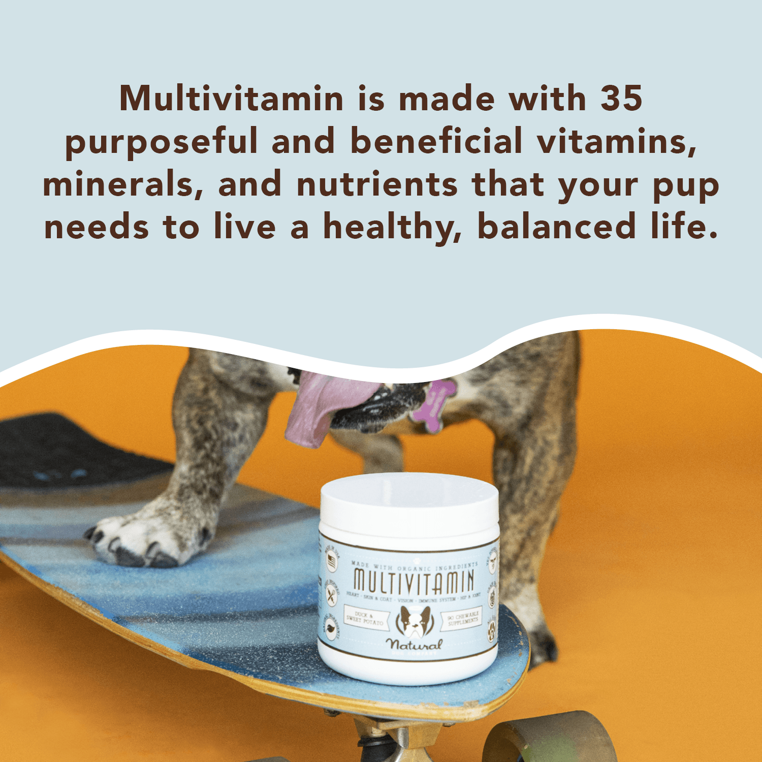 NATURAL DOG COMPANY INF PET 20: Infographics