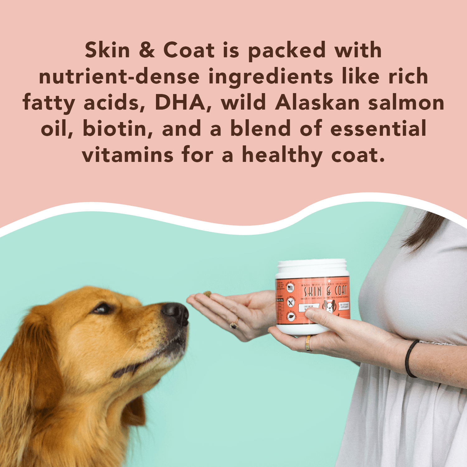 NATURAL DOG COMPANY INF PET 21: Infographics