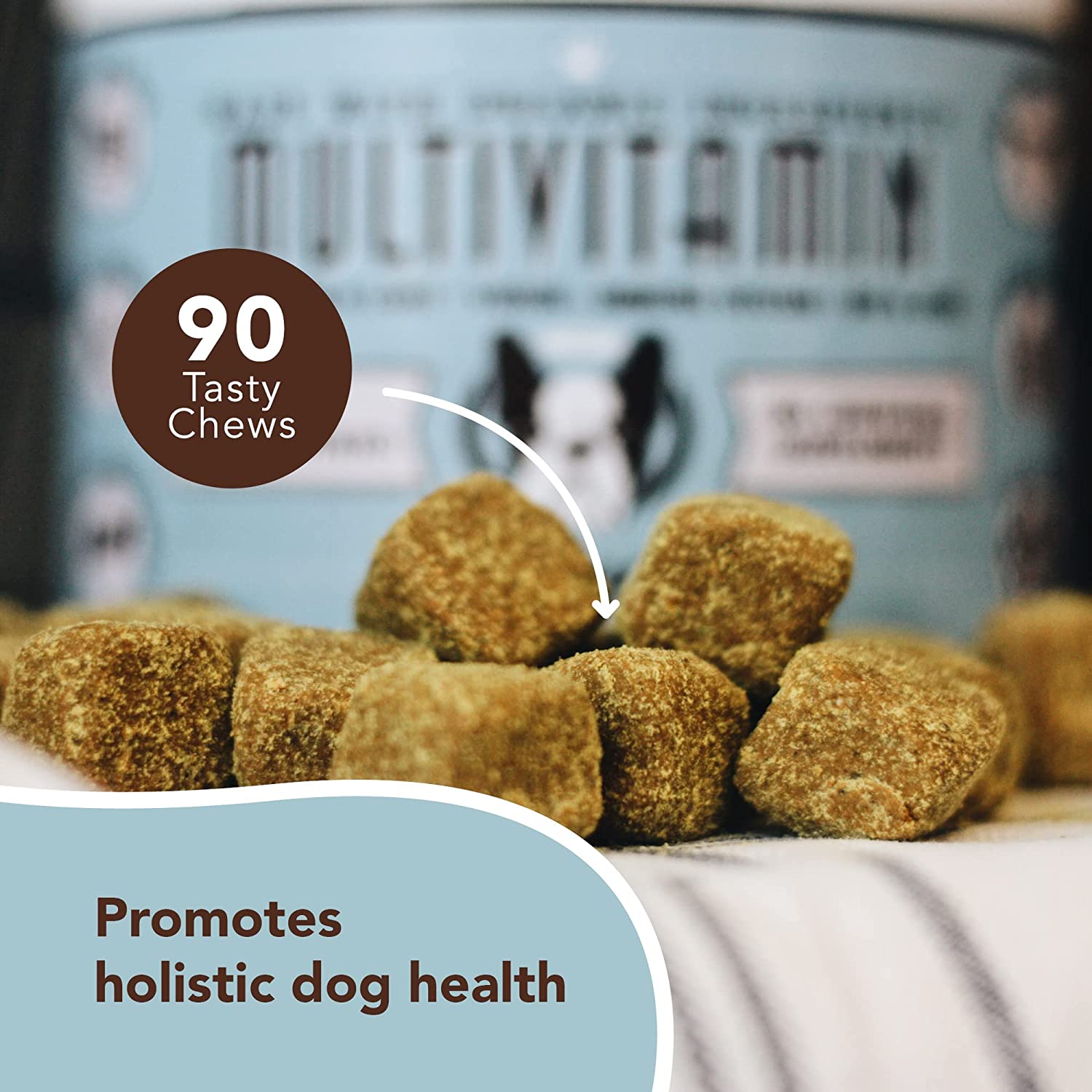 NATURAL DOG COMPANY INF PET 22: Infographics