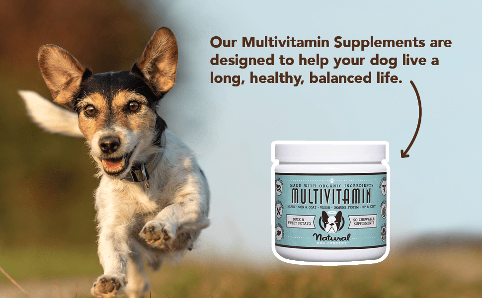 NATURAL DOG COMPANY INF PET 23: Infographics