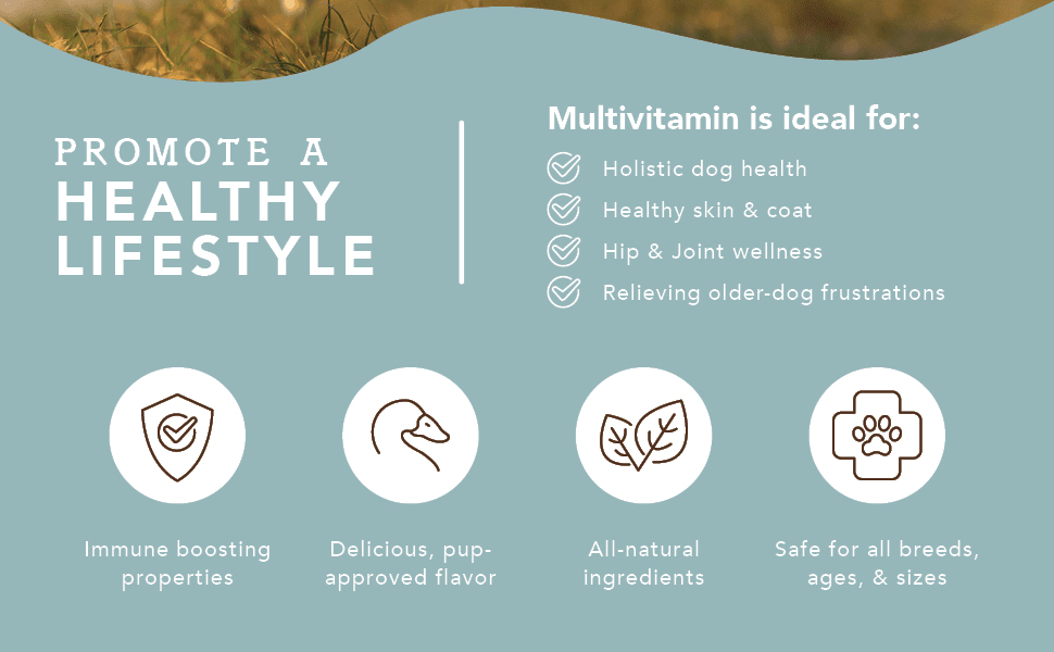 NATURAL DOG COMPANY INF PET 24: Infographics