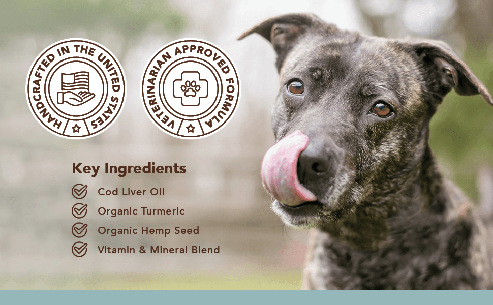 NATURAL DOG COMPANY INF PET 25: Infographics