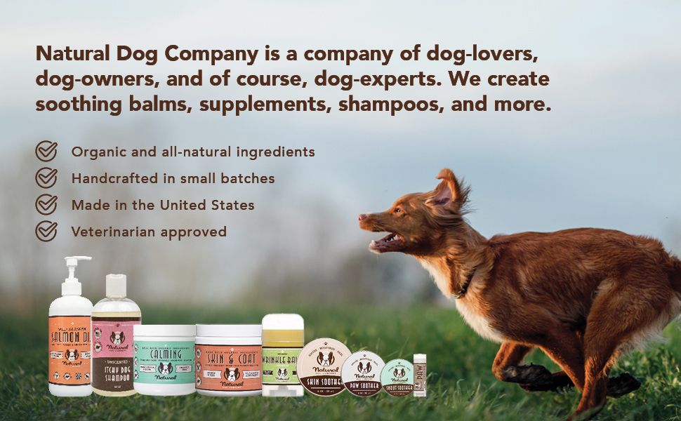 NATURAL DOG COMPANY INF PET 27: Infographics