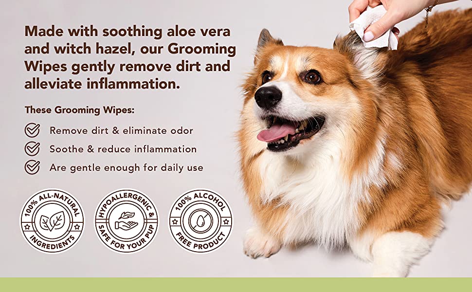NATURAL DOG COMPANY INF PET 3: Infographics