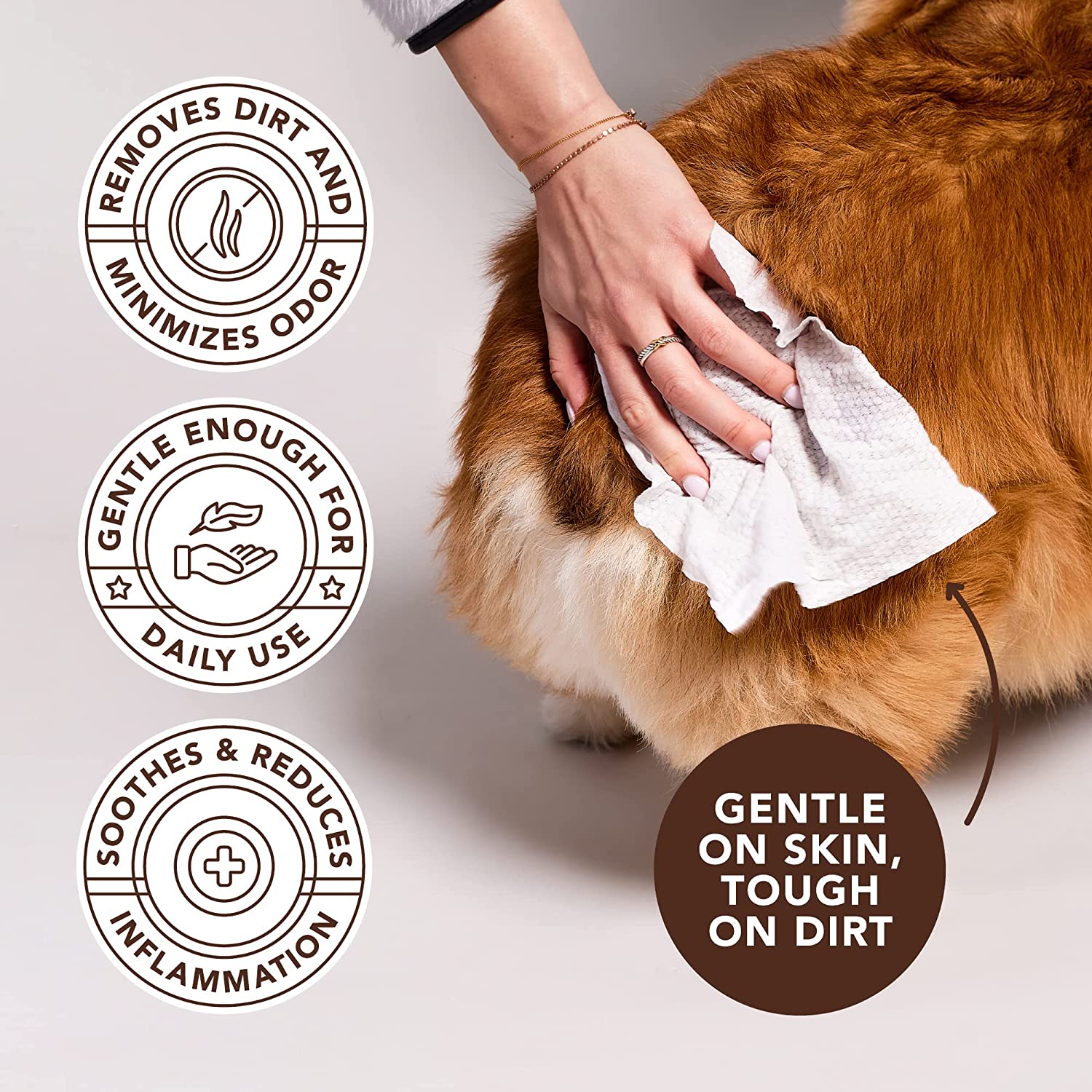 NATURAL DOG COMPANY INF PET 6: Infographics