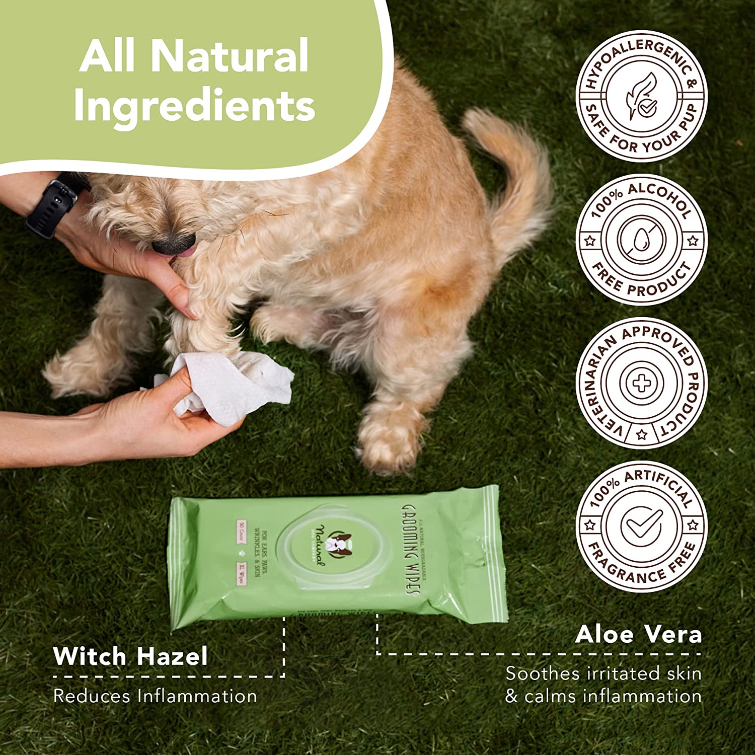 NATURAL DOG COMPANY INF PET 7: Infographics