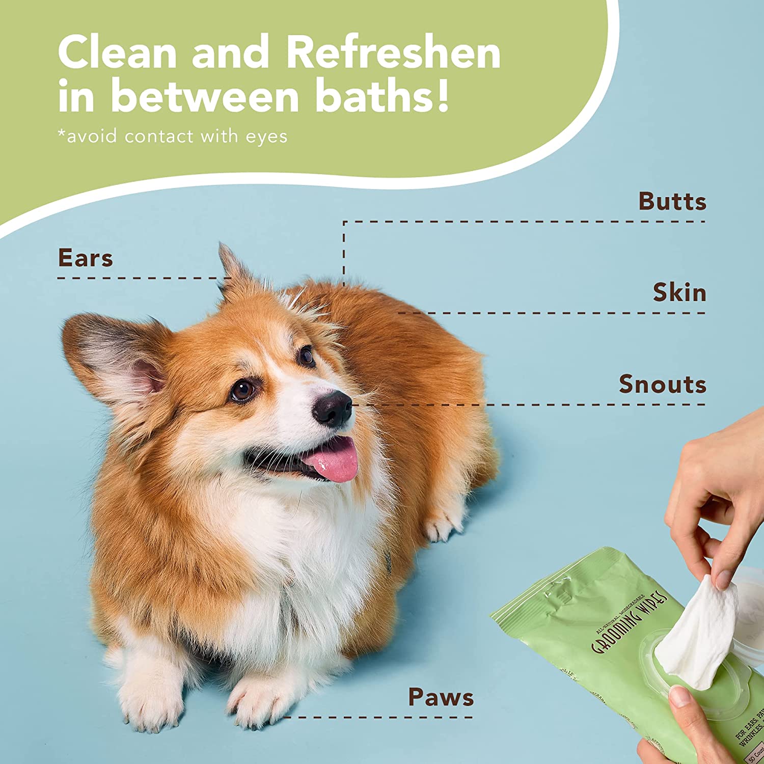 NATURAL DOG COMPANY INF PET 8: Infographics
