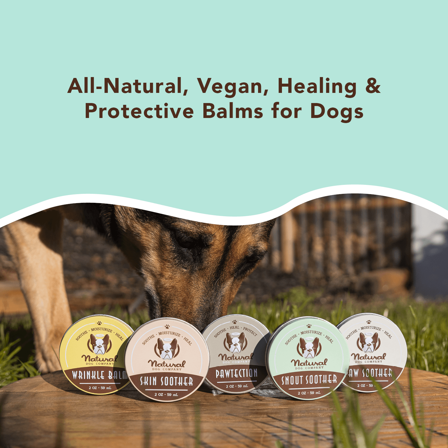 NATURAL DOG COMPANY STORE PET 3: Storefront