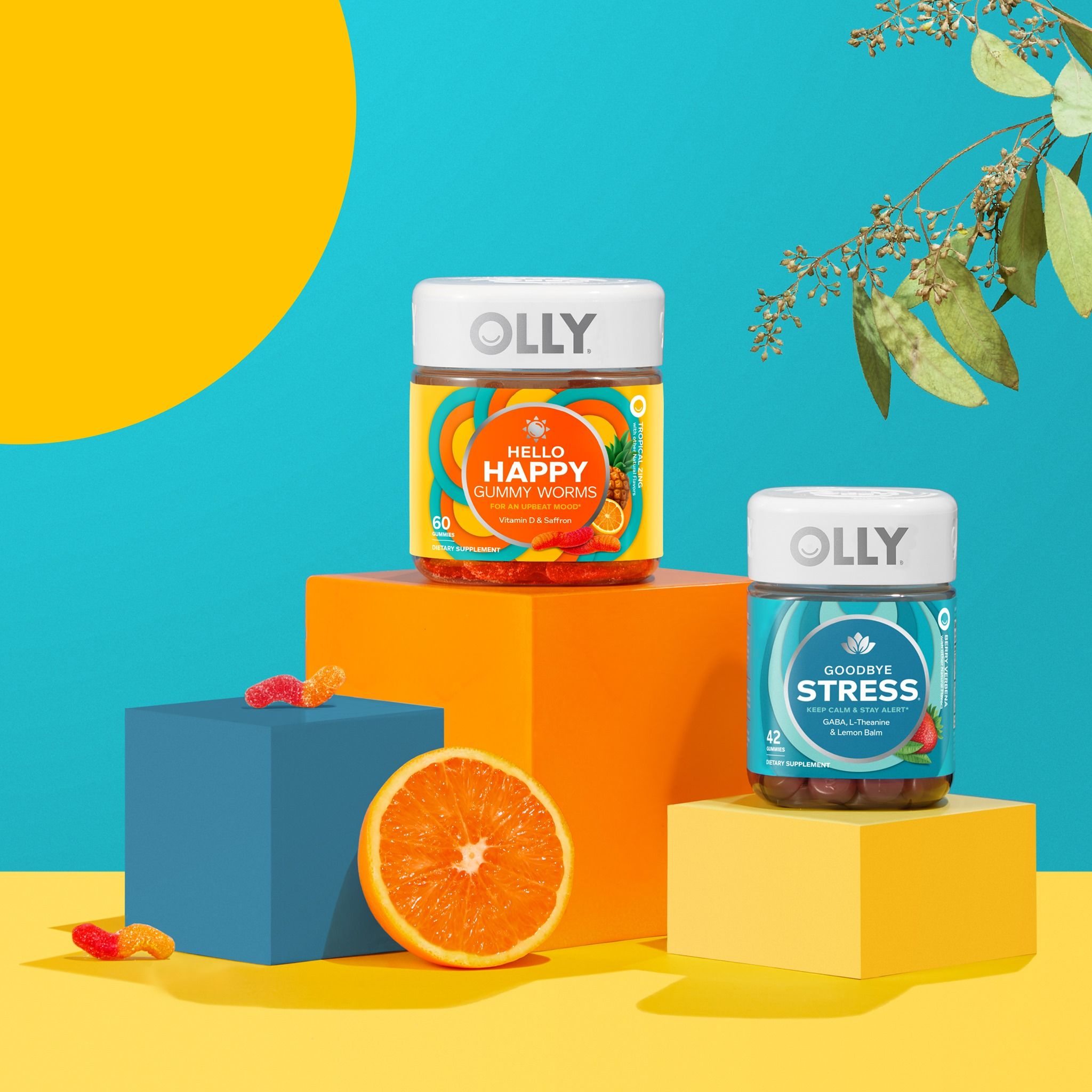 OLLY 67: Backdrops