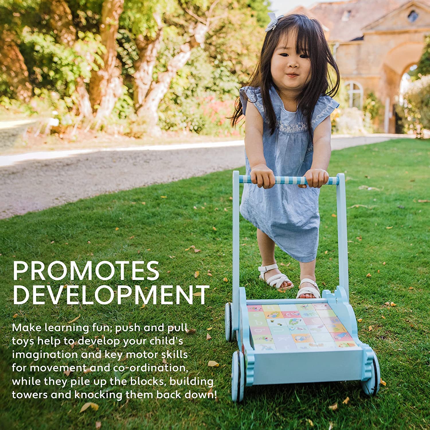 ORANGE TREE TOYS INF TG 13: Infographics