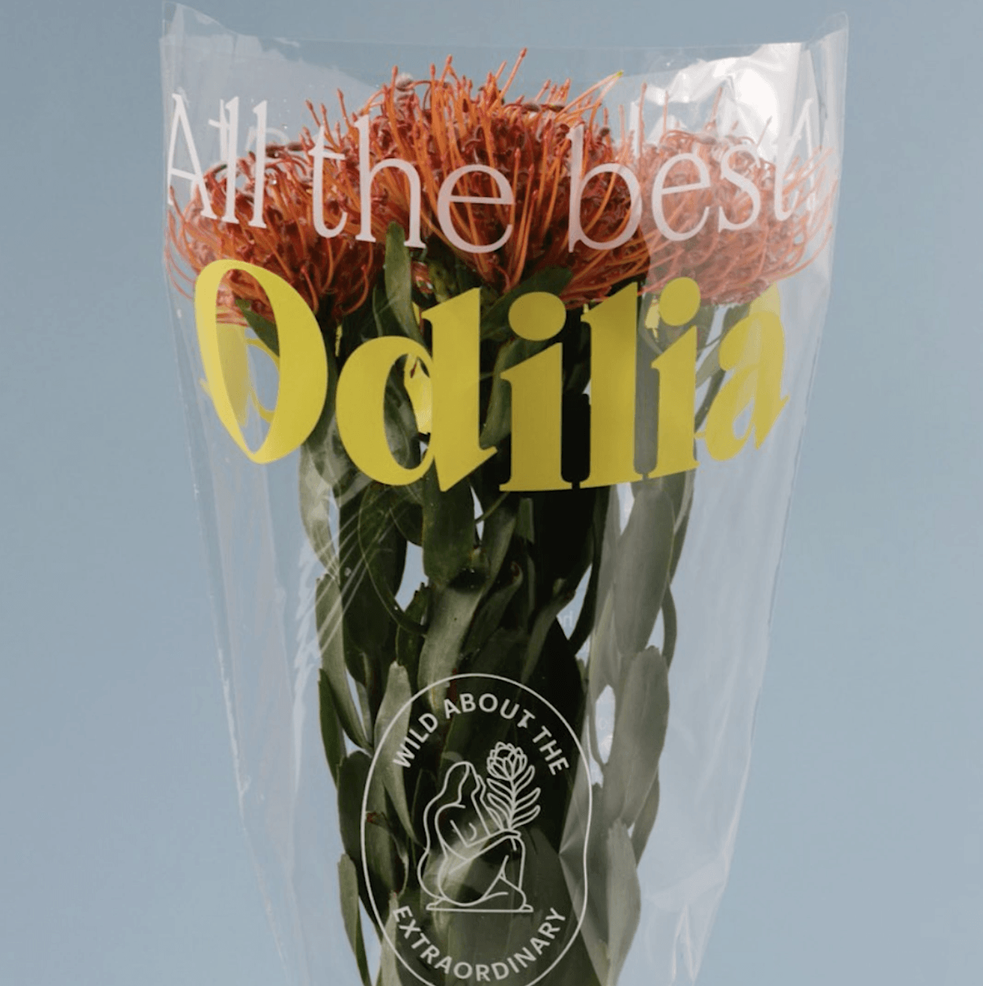 Odilia: Lifestyle Secondary Images
