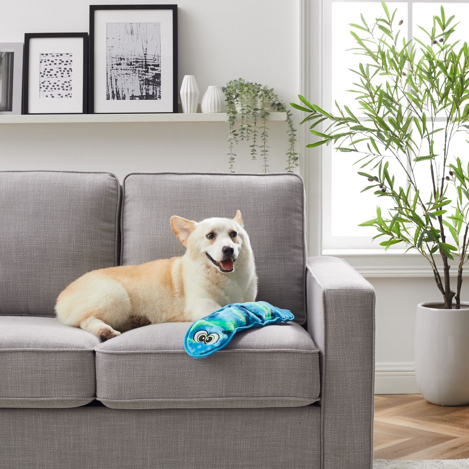 Outward Hound 10: Lifestyle Secondary Images