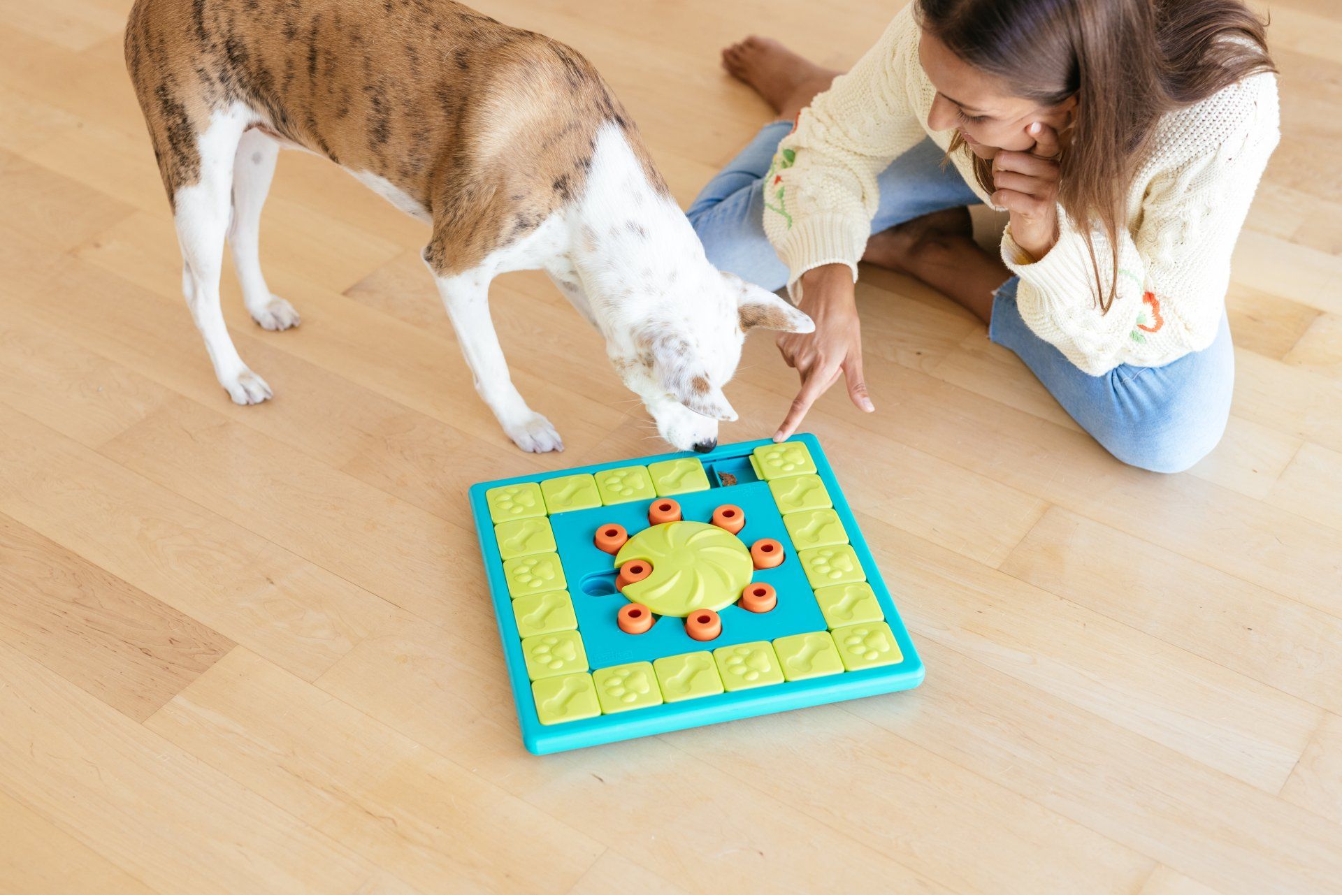 Outward Hound 11: UGC Secondary Images