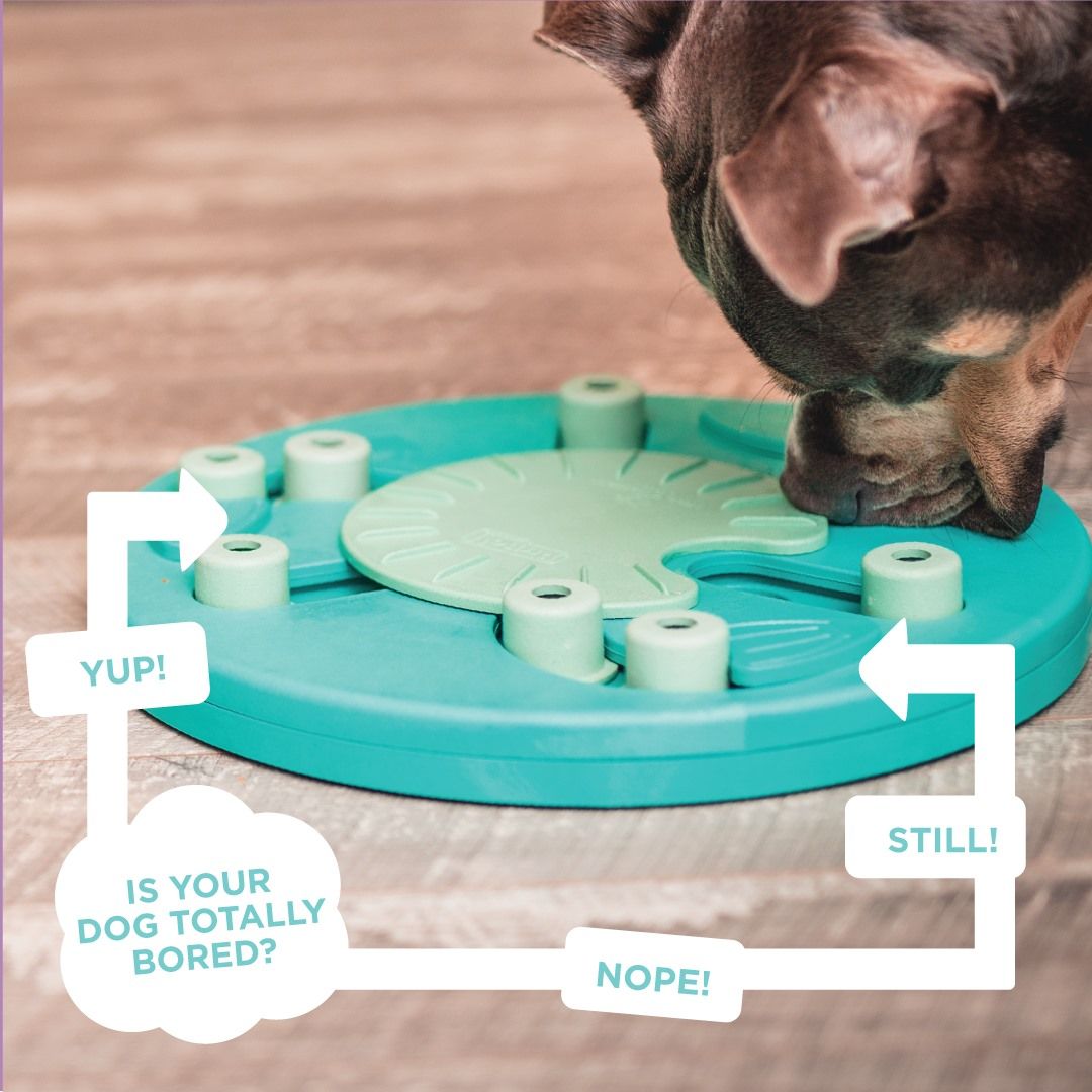 Outward Hound 14: Infographics