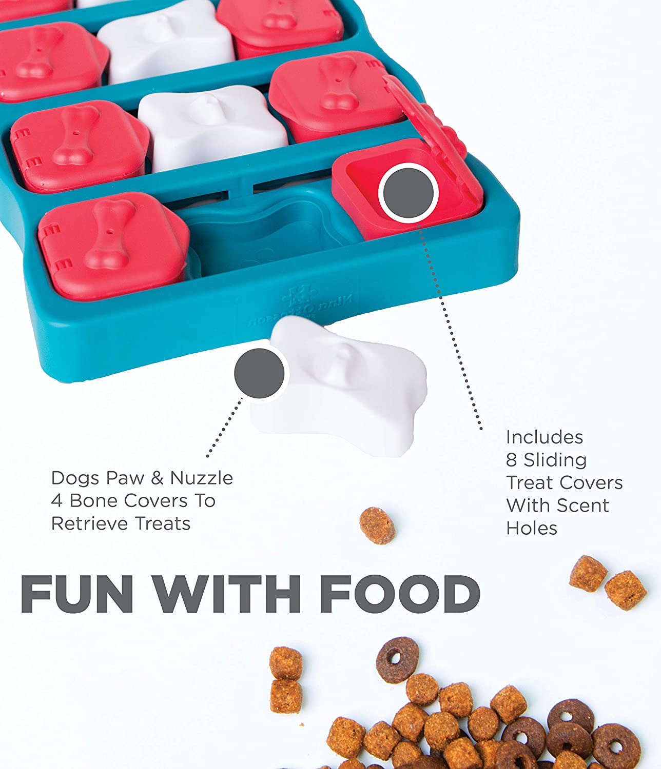 Outward Hound 1: Infographics