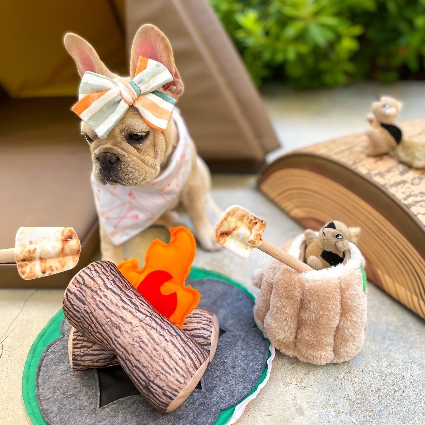 Outward Hound 5: Lifestyle Secondary Images
