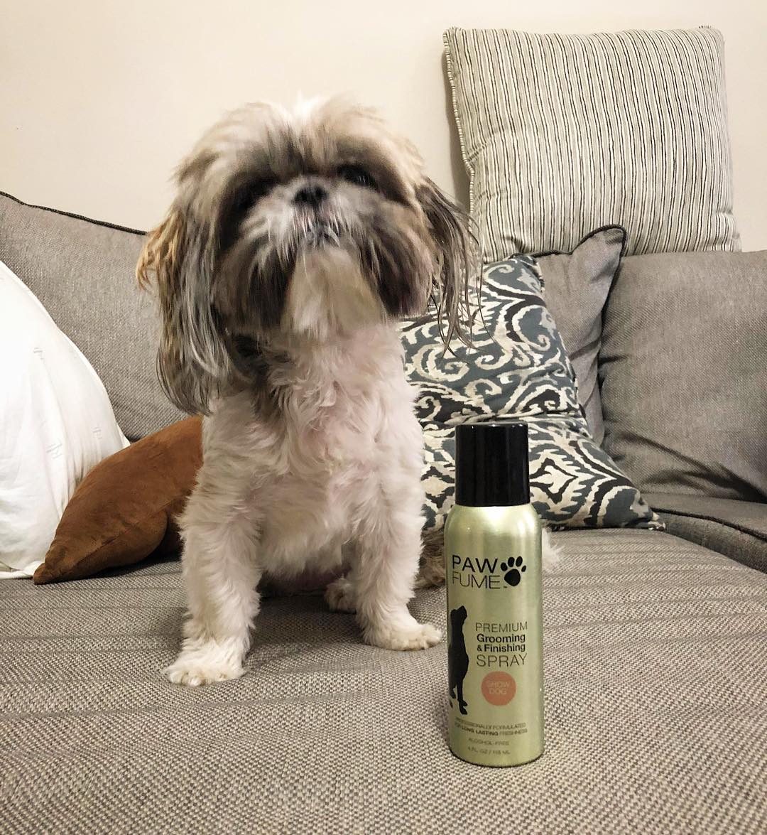 PAWFUME LIF PET 1: Lifestyle Secondary Images