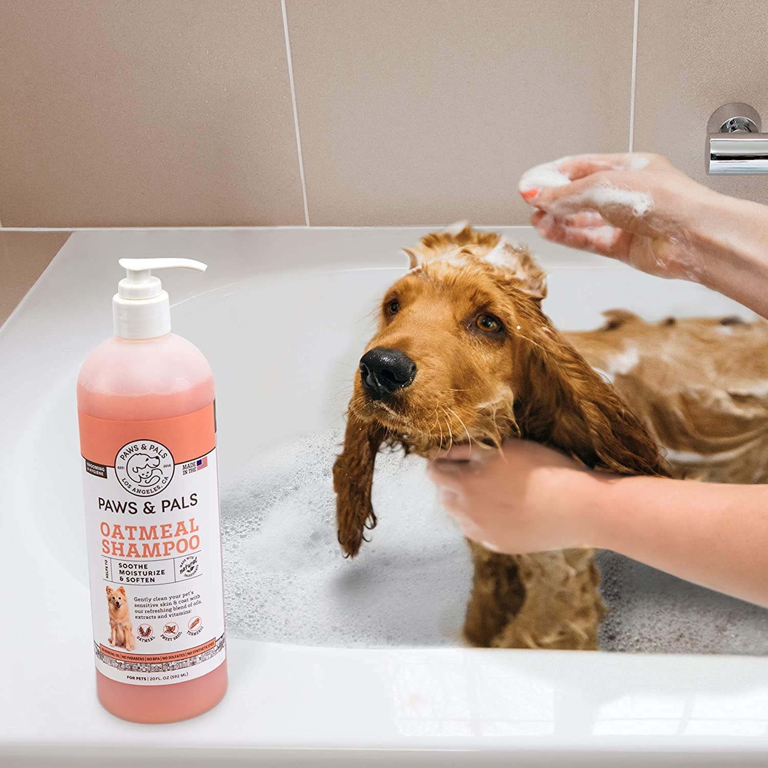 PAWS AND PALS LIF PET 1: Lifestyle Secondary Images