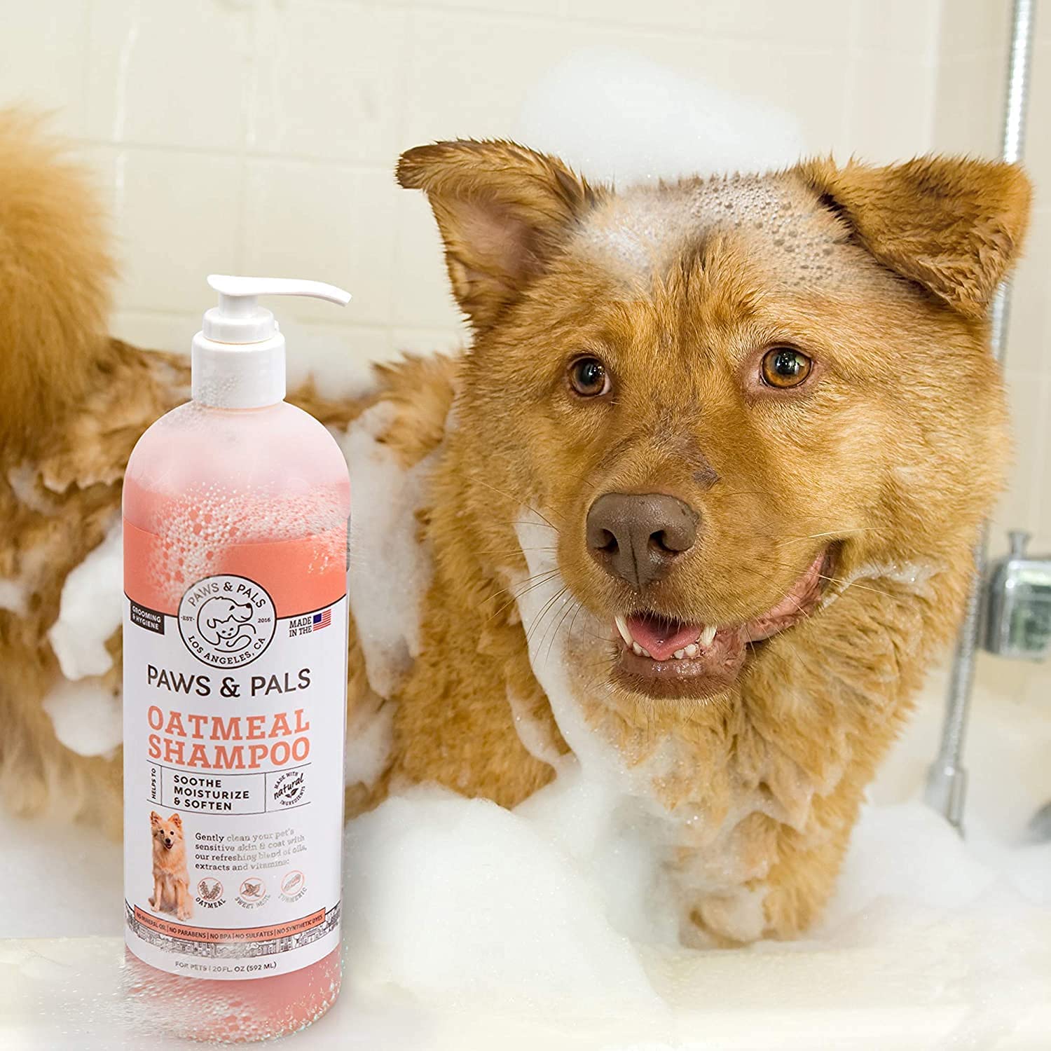 PAWS AND PALS LIF PET 2: Lifestyle Secondary Images