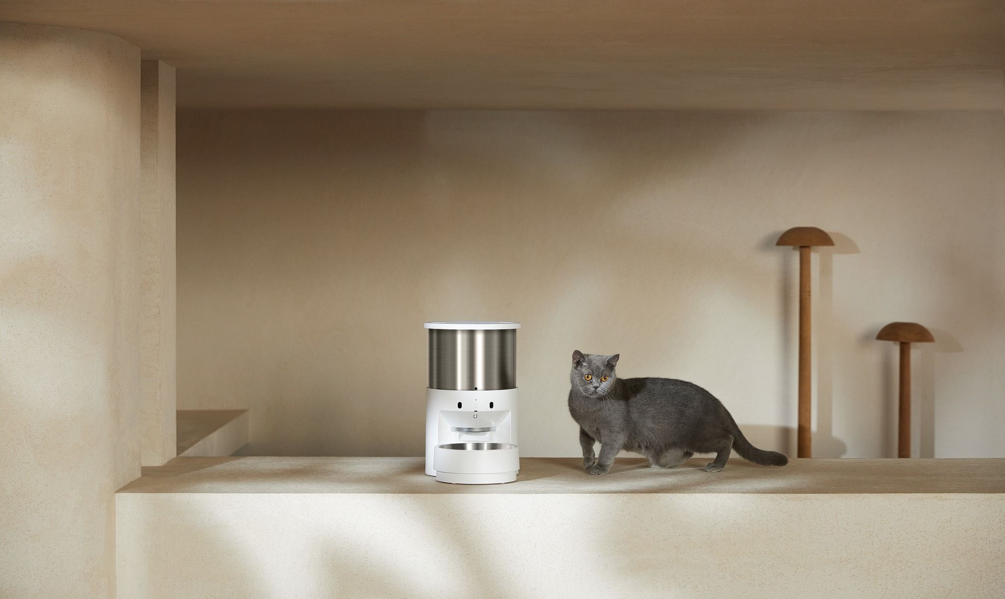 PETKIT LIF PET 11: Lifestyle Secondary Images