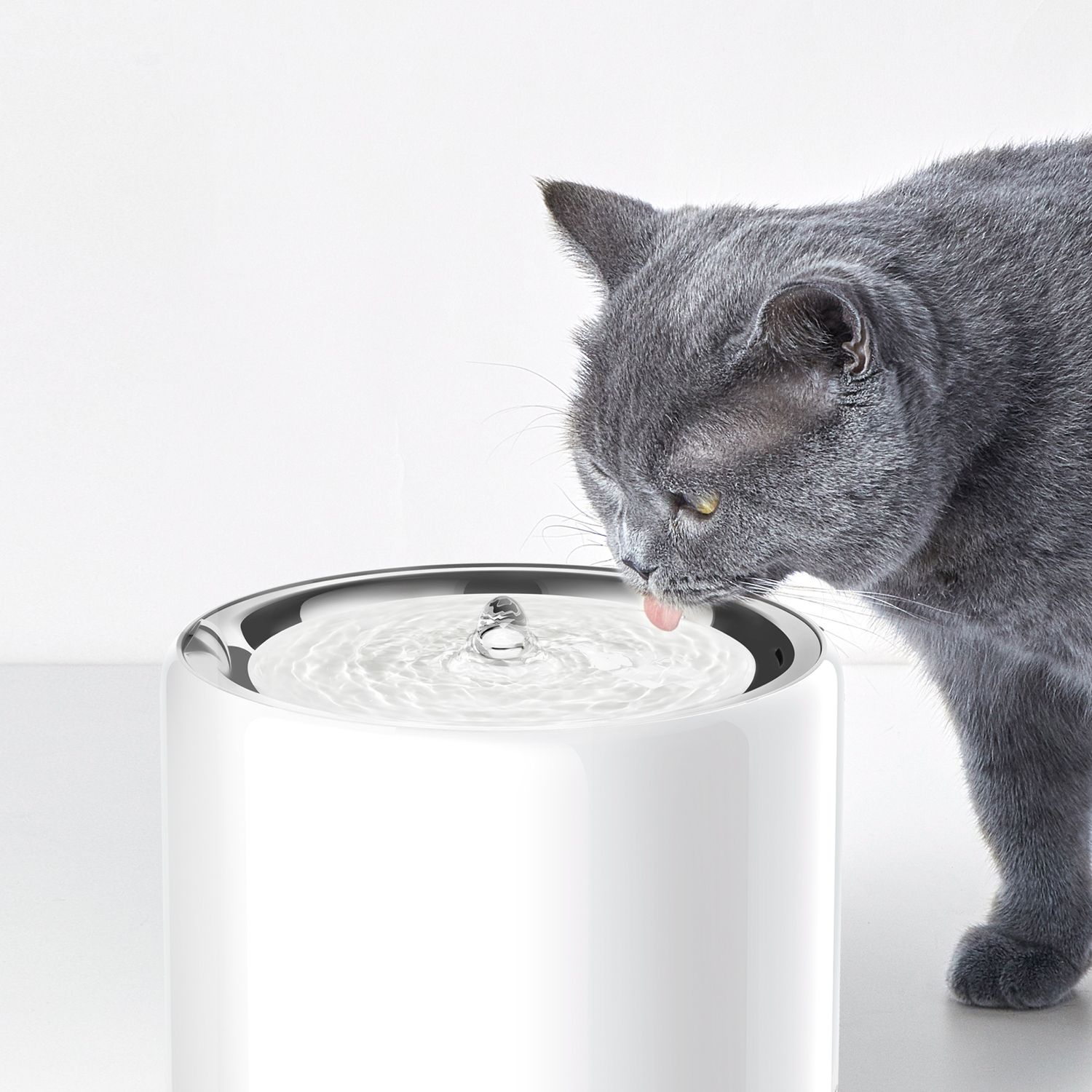 PETKIT LIF PET 2: Lifestyle Secondary Images