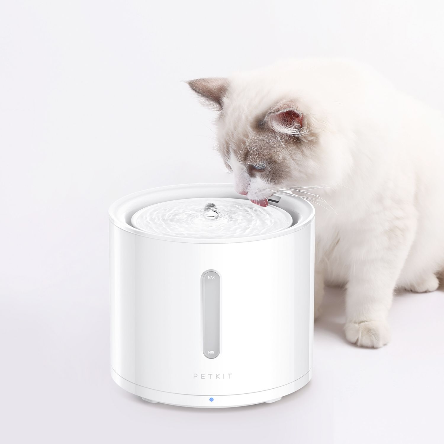 PETKIT LIF PET 4: Lifestyle Secondary Images