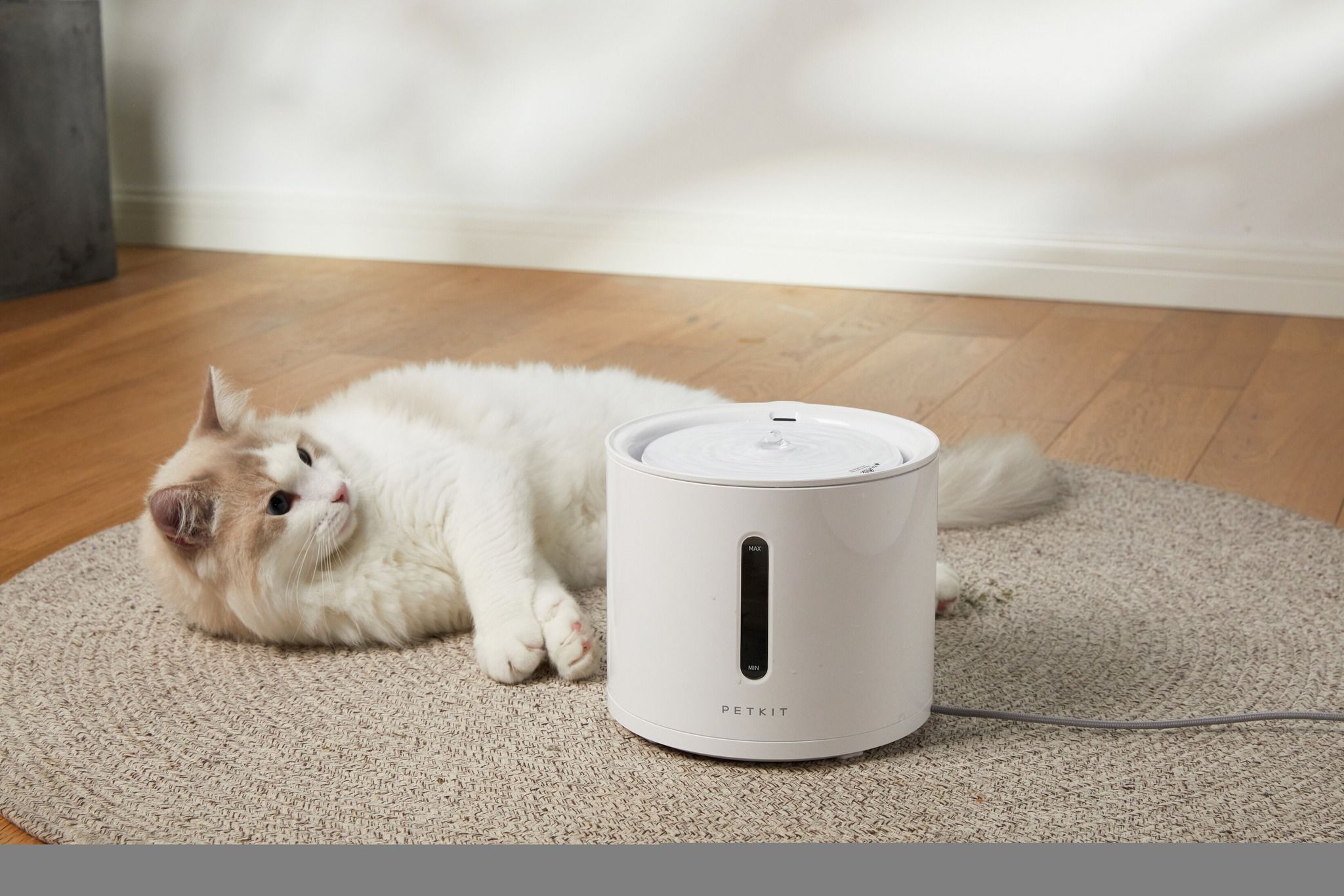 PETKIT LIF PET 7: Lifestyle Secondary Images