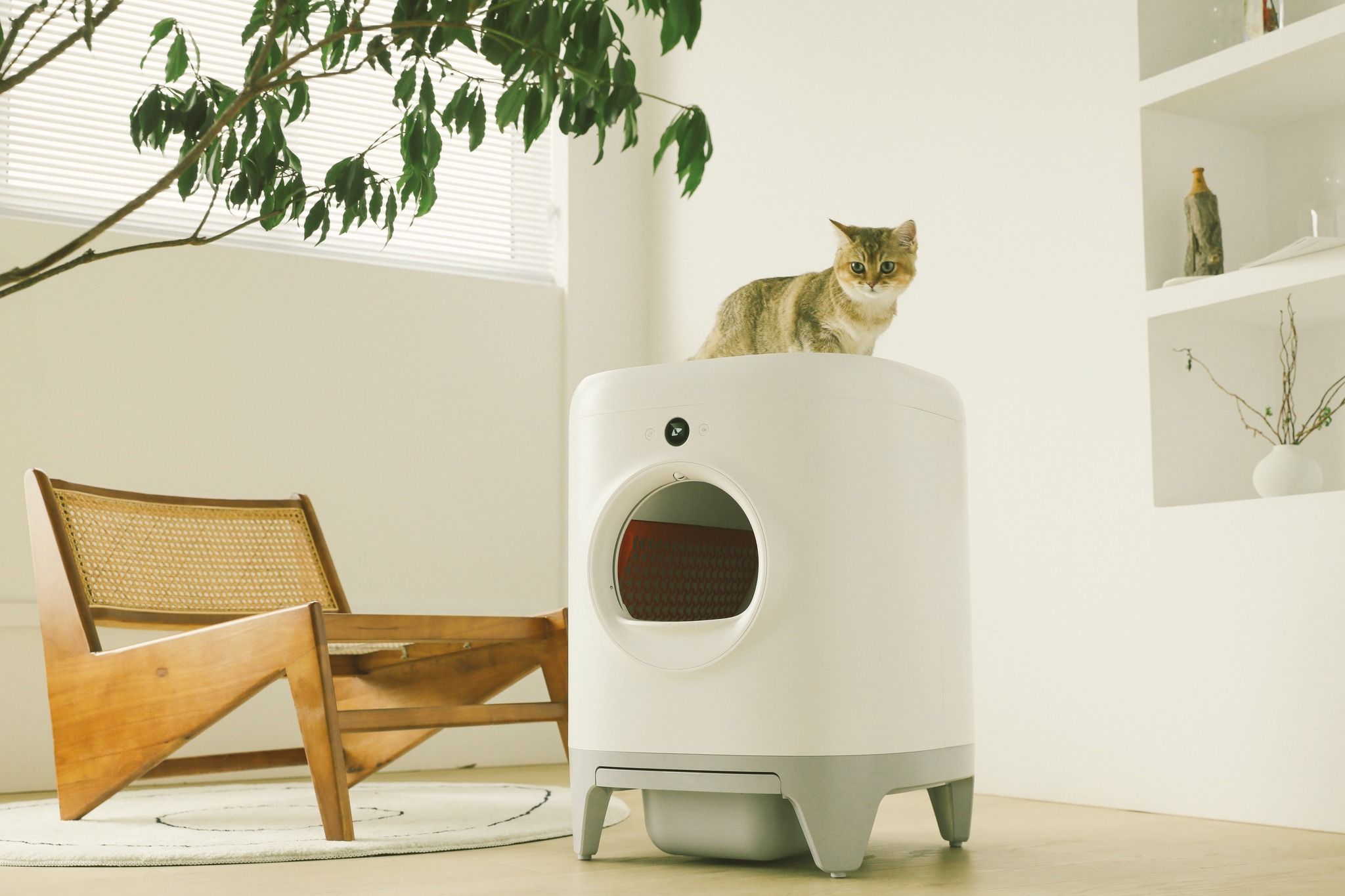 PETKIT LIF PET 8: Lifestyle Secondary Images