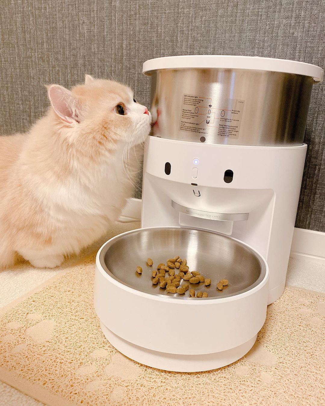 PETKIT LIF PET 9: Lifestyle Secondary Images